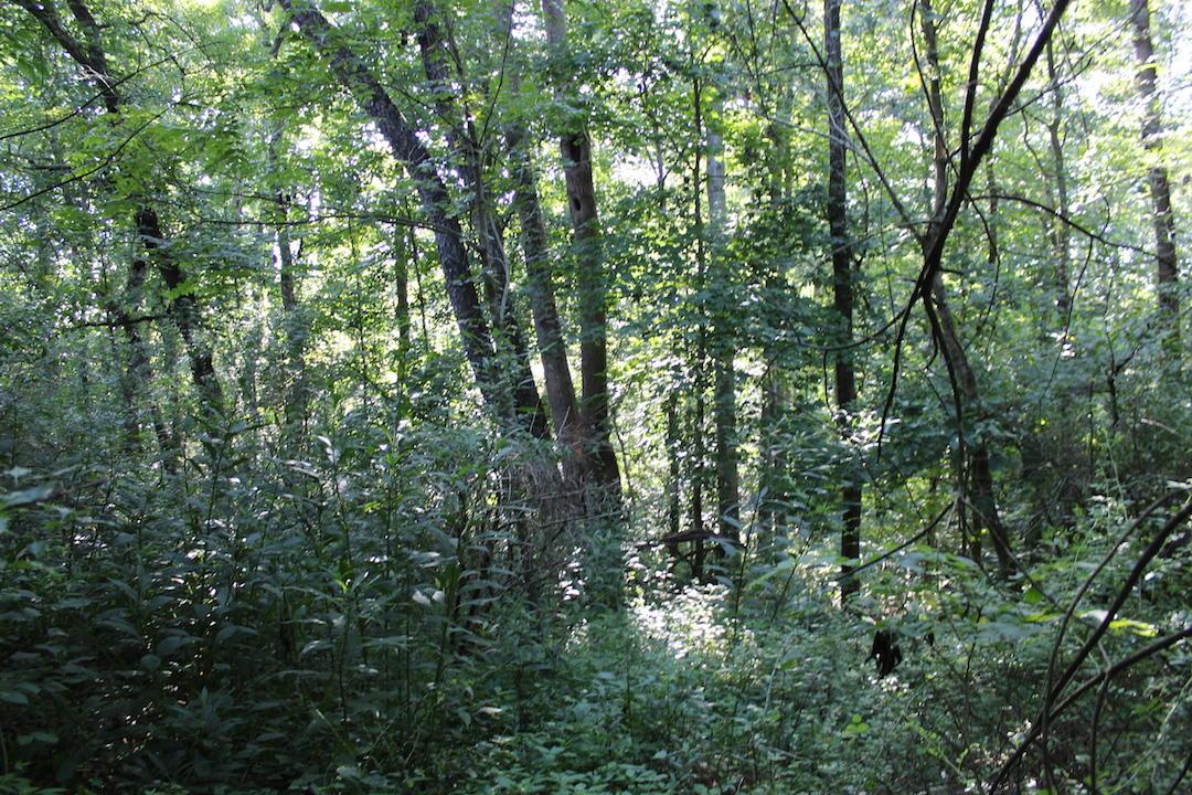 0 Franklin Valley Road Jackson, OH 45640 - Photo 17 of 46