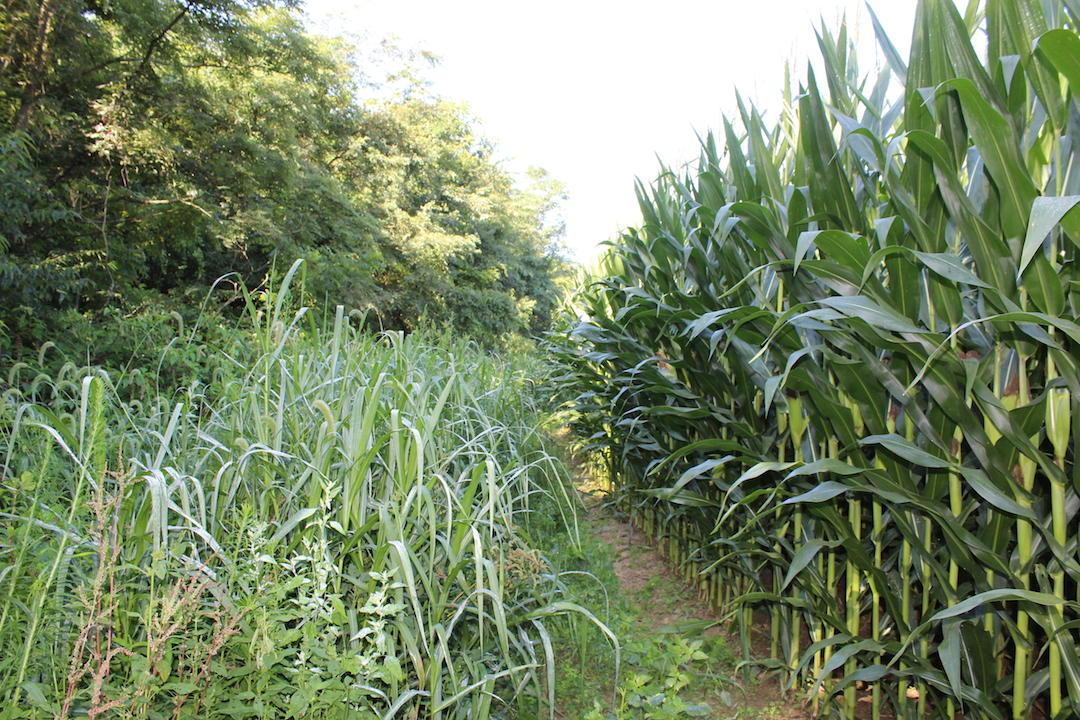 0 Franklin Valley Road Jackson, OH 45640 - Photo 18 of 46