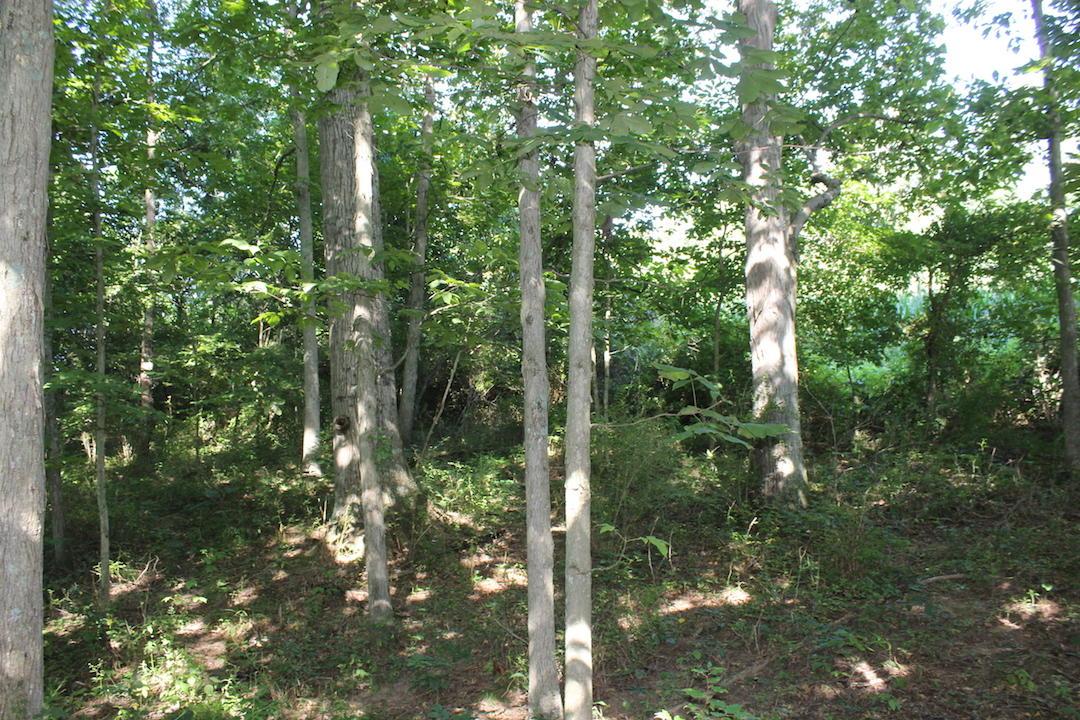 0 Franklin Valley Road Jackson, OH 45640 - Photo 20 of 46