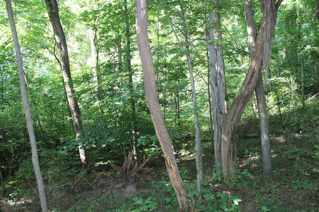 0 Franklin Valley Road Jackson, OH 45640 - Photo 21 of 46