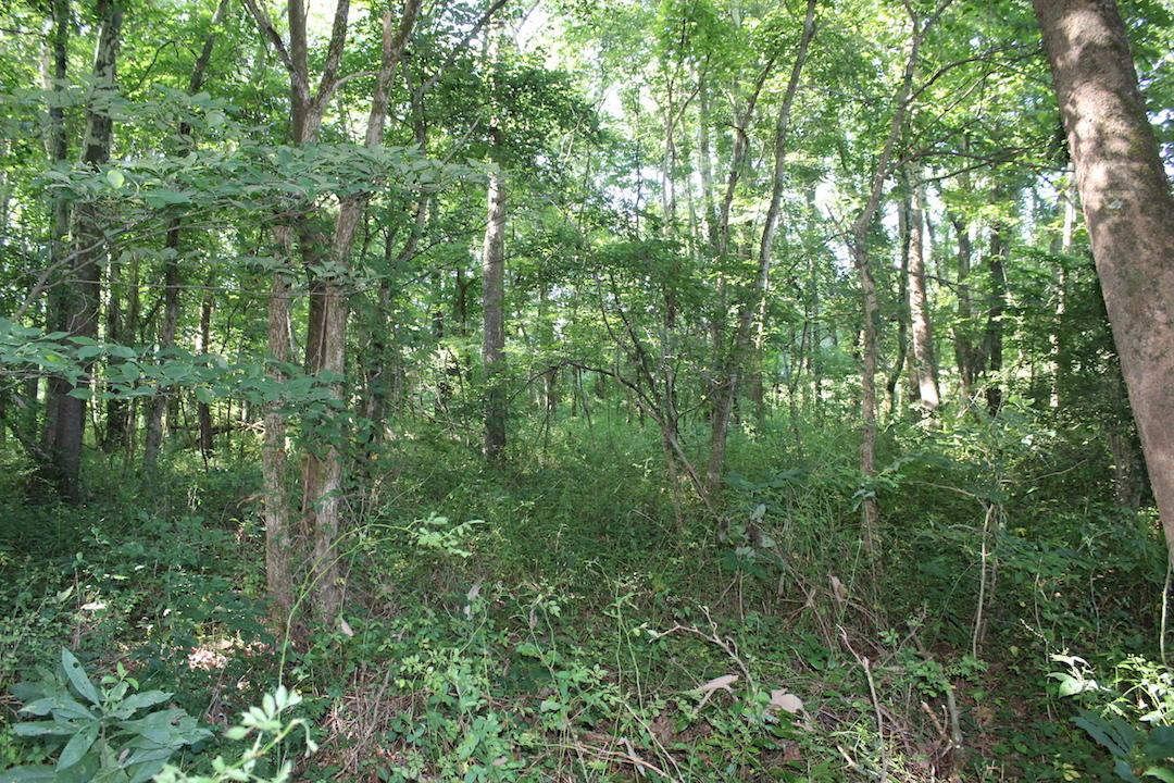 0 Franklin Valley Road Jackson, OH 45640 - Photo 22 of 46