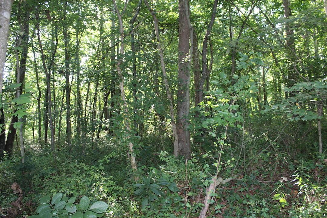 0 Franklin Valley Road Jackson, OH 45640 - Photo 23 of 46