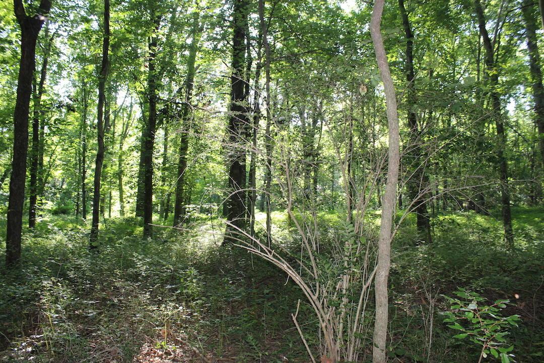 0 Franklin Valley Road Jackson, OH 45640 - Photo 26 of 46