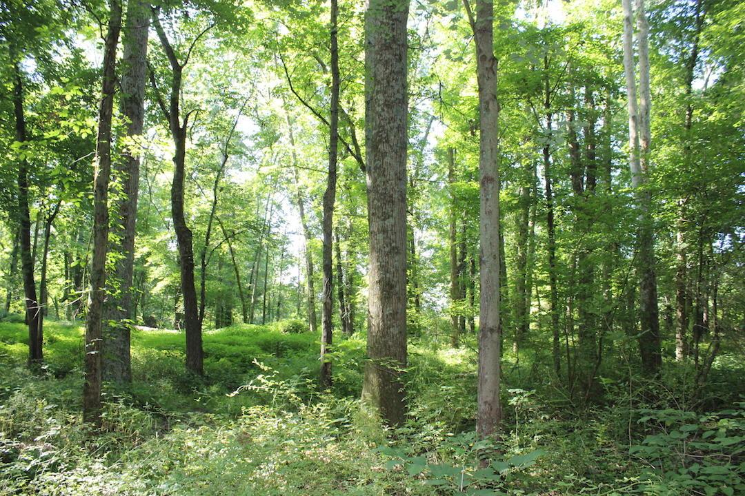 0 Franklin Valley Road Jackson, OH 45640 - Photo 28 of 46