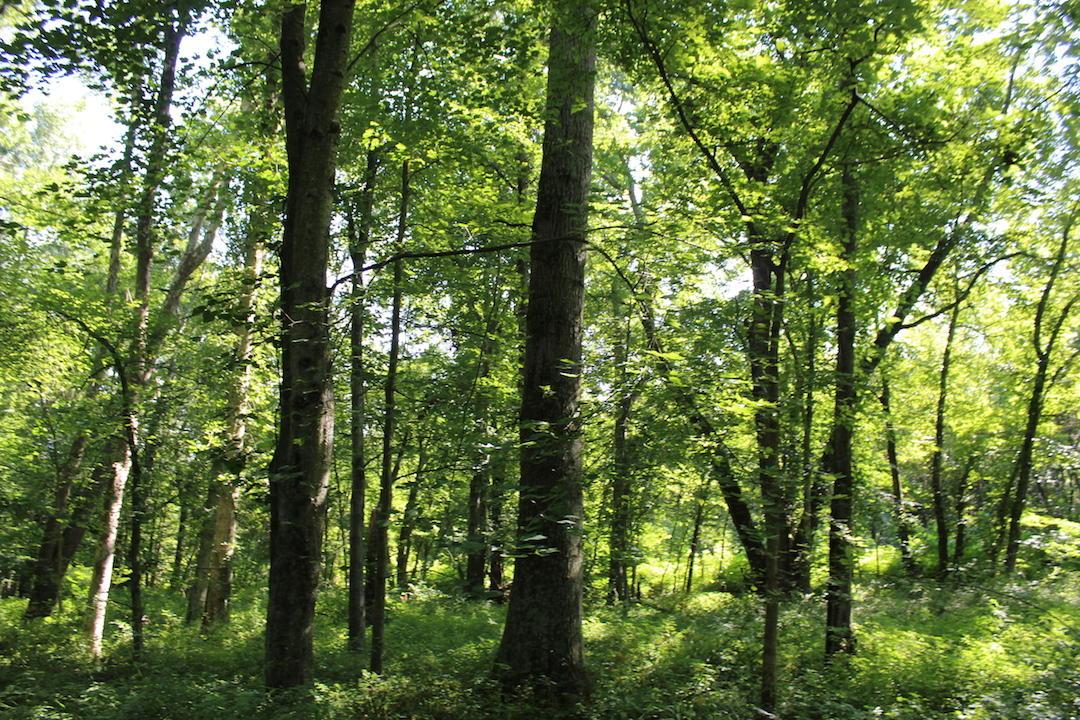 0 Franklin Valley Road Jackson, OH 45640 - Photo 30 of 46