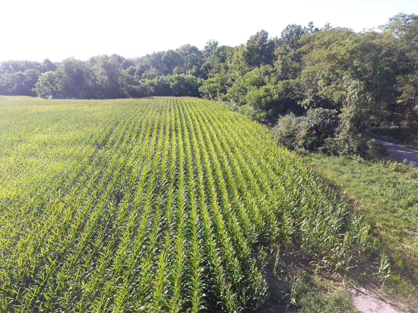 0 Franklin Valley Road Jackson, OH 45640 - Photo 3 of 46