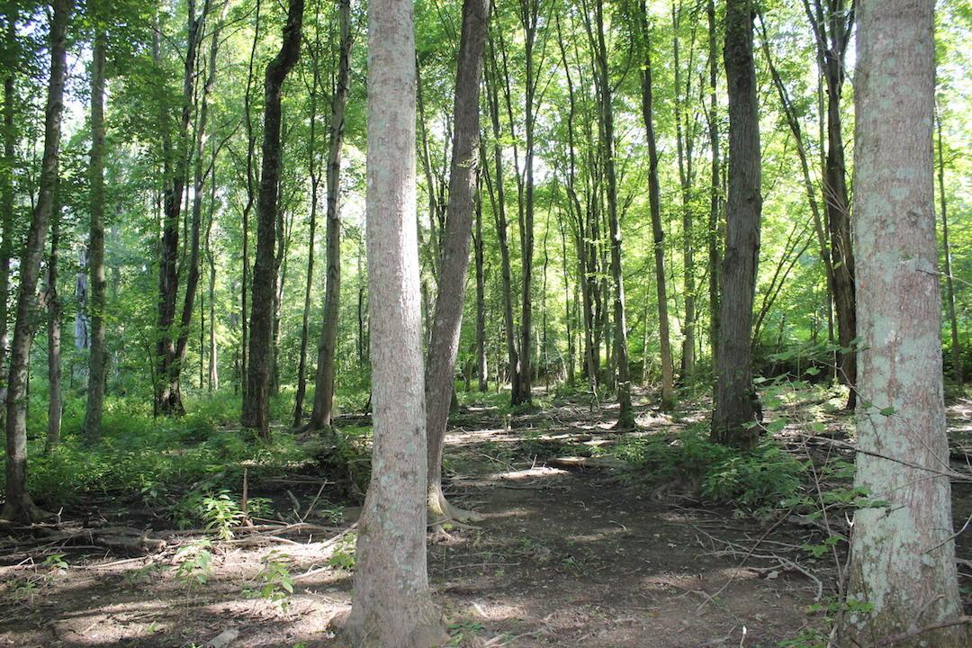 0 Franklin Valley Road Jackson, OH 45640 - Photo 32 of 46
