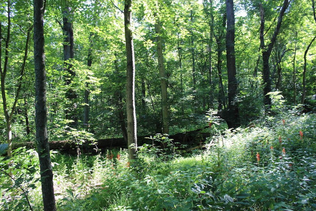 0 Franklin Valley Road Jackson, OH 45640 - Photo 34 of 46