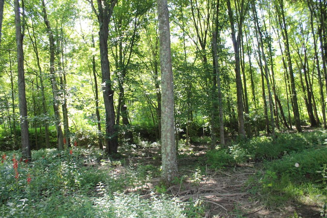 0 Franklin Valley Road Jackson, OH 45640 - Photo 35 of 46