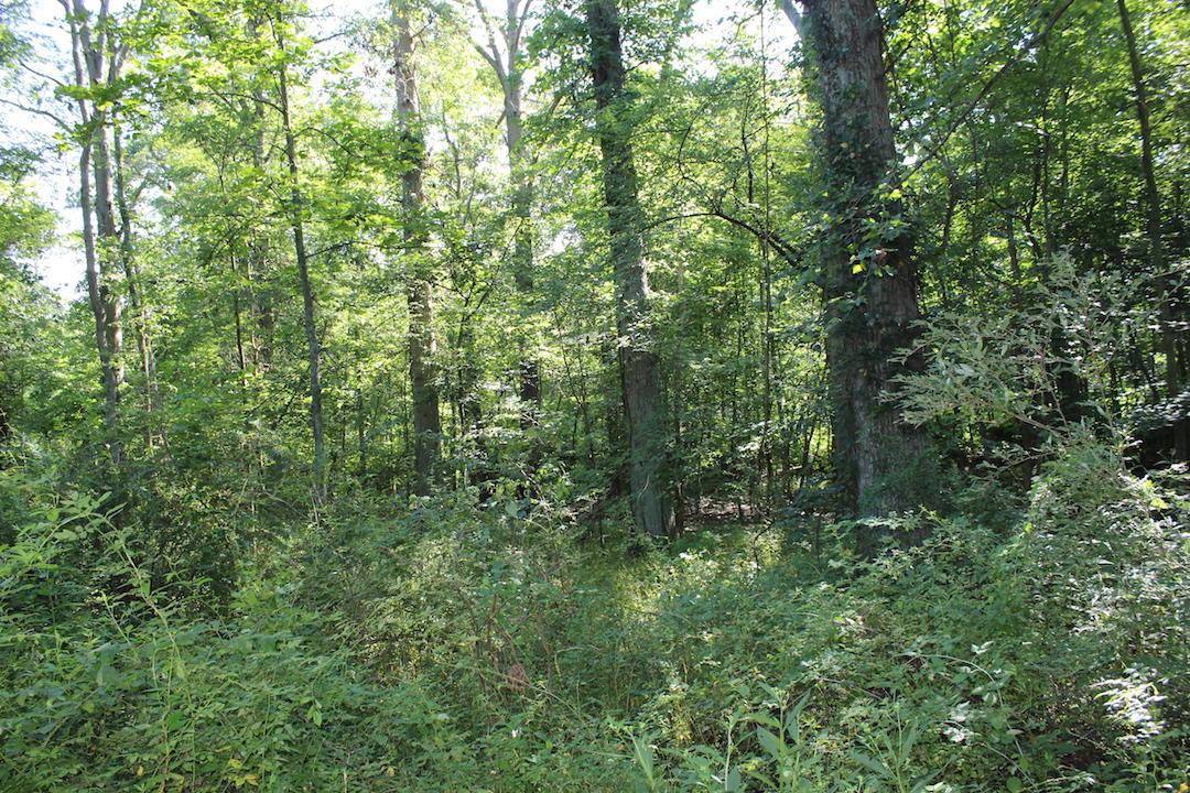 0 Franklin Valley Road Jackson, OH 45640 - Photo 36 of 46