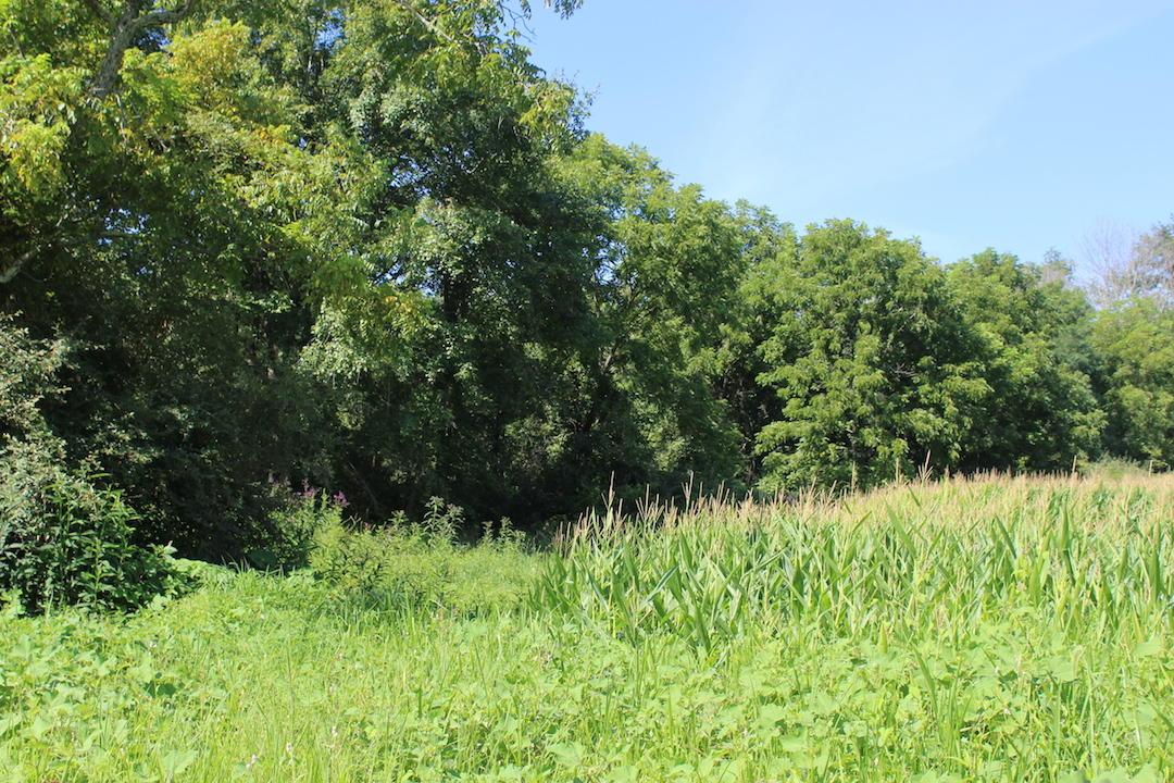 0 Franklin Valley Road Jackson, OH 45640 - Photo 38 of 46