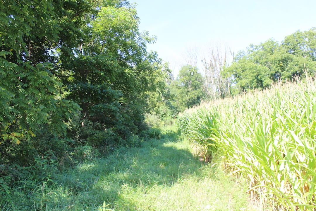 0 Franklin Valley Road Jackson, OH 45640 - Photo 39 of 46