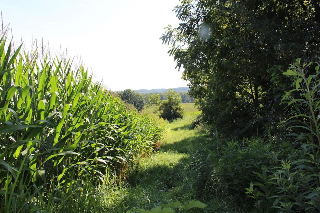 0 Franklin Valley Road Jackson, OH 45640 - Photo 40 of 46