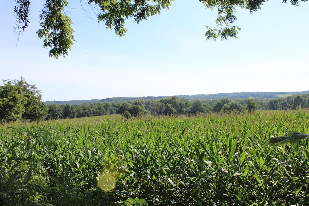 0 Franklin Valley Road Jackson, OH 45640 - Photo 41 of 46