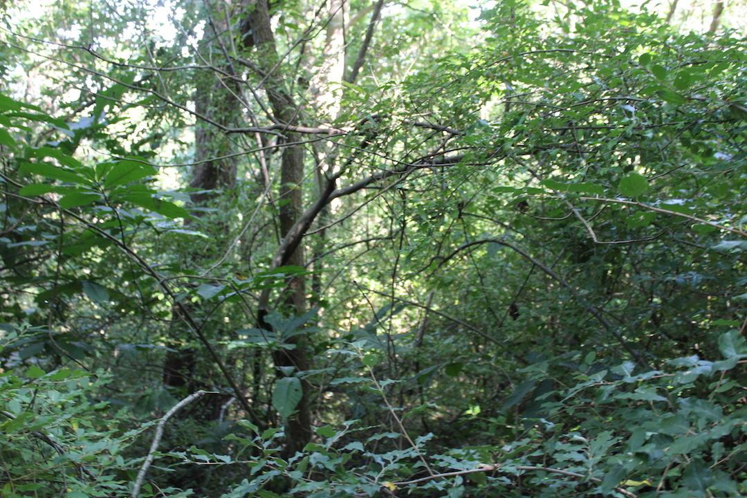 0 Franklin Valley Road Jackson, OH 45640 - Photo 45 of 46