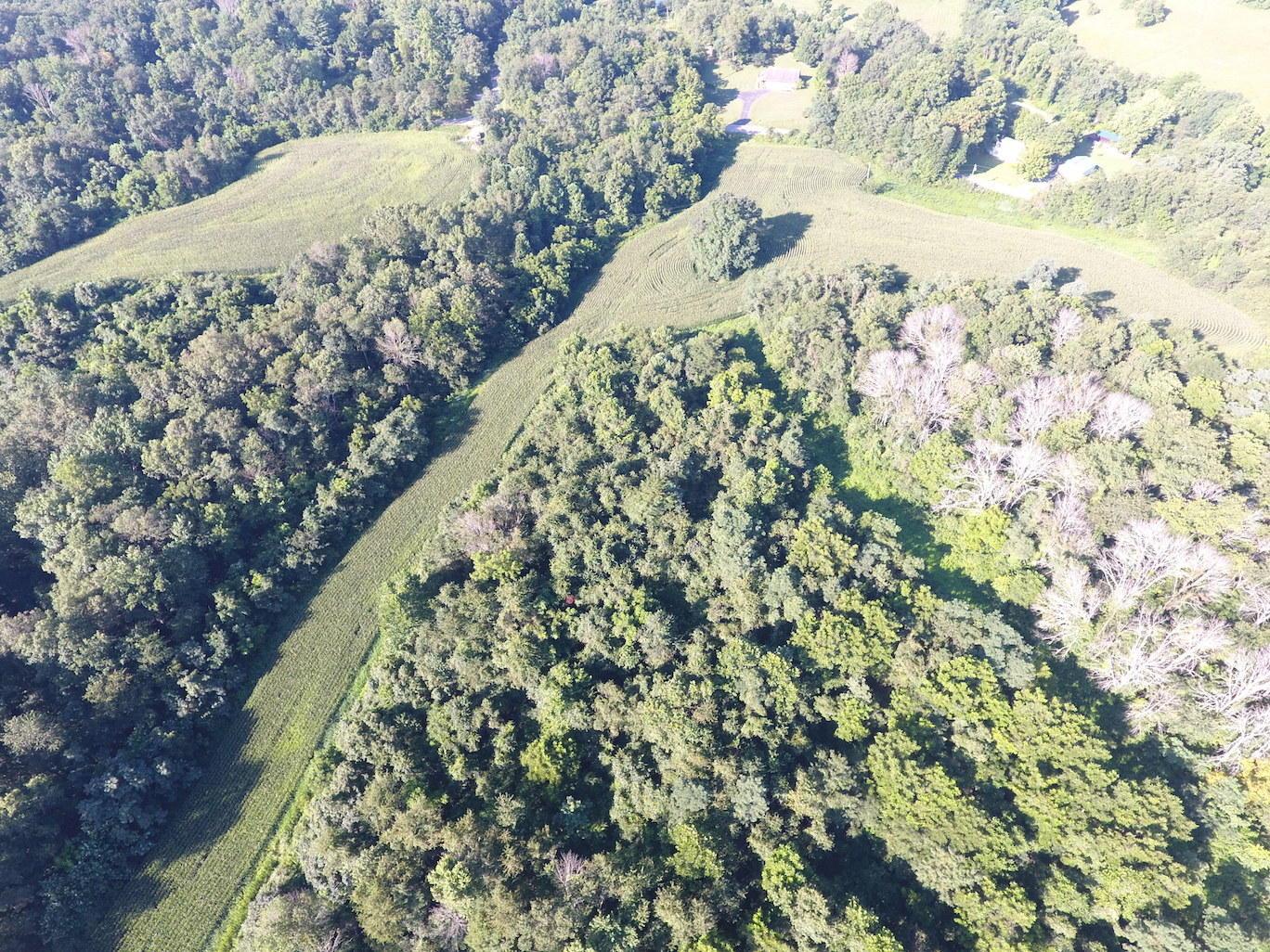 0 Franklin Valley Road Jackson, OH 45640 - Photo 6 of 46