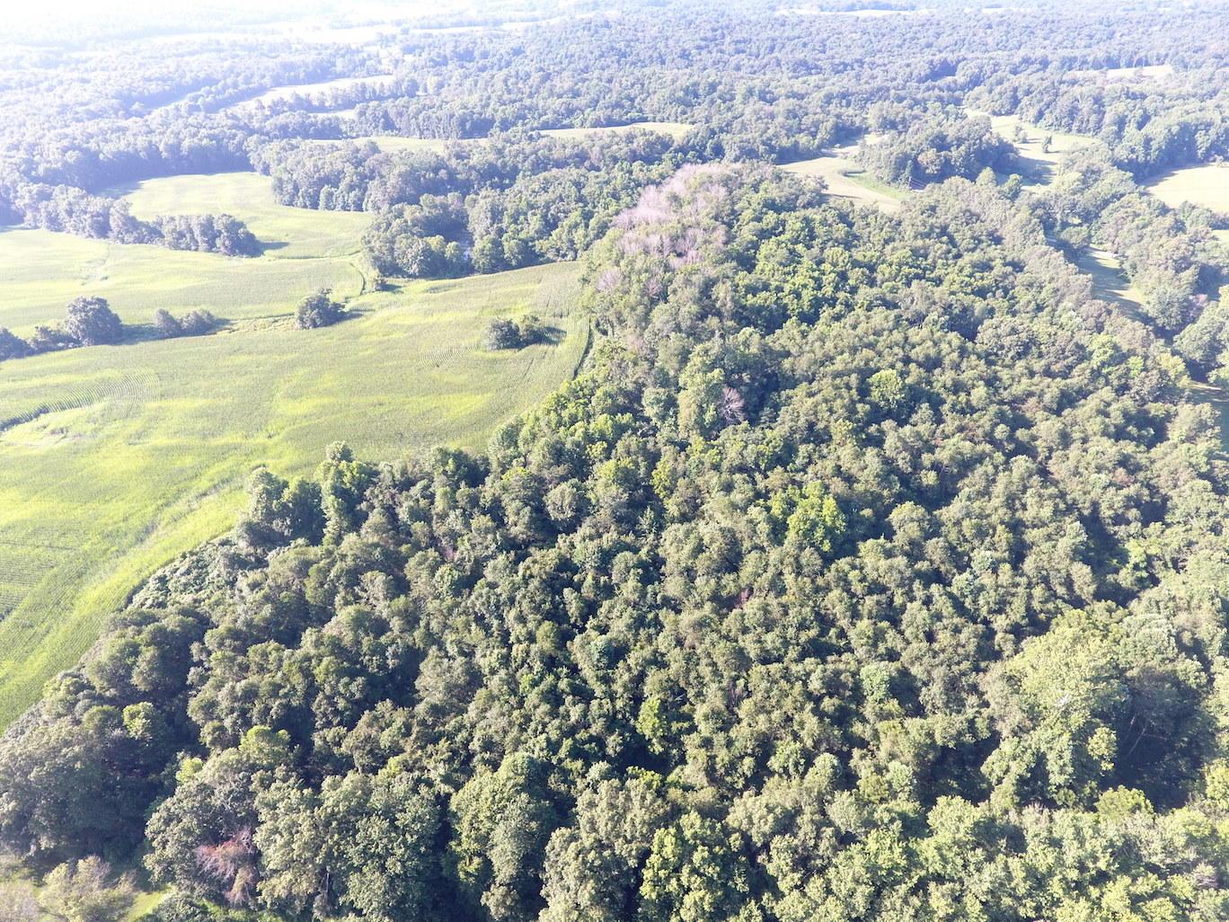 0 Franklin Valley Road Jackson, OH 45640 - Photo 8 of 46