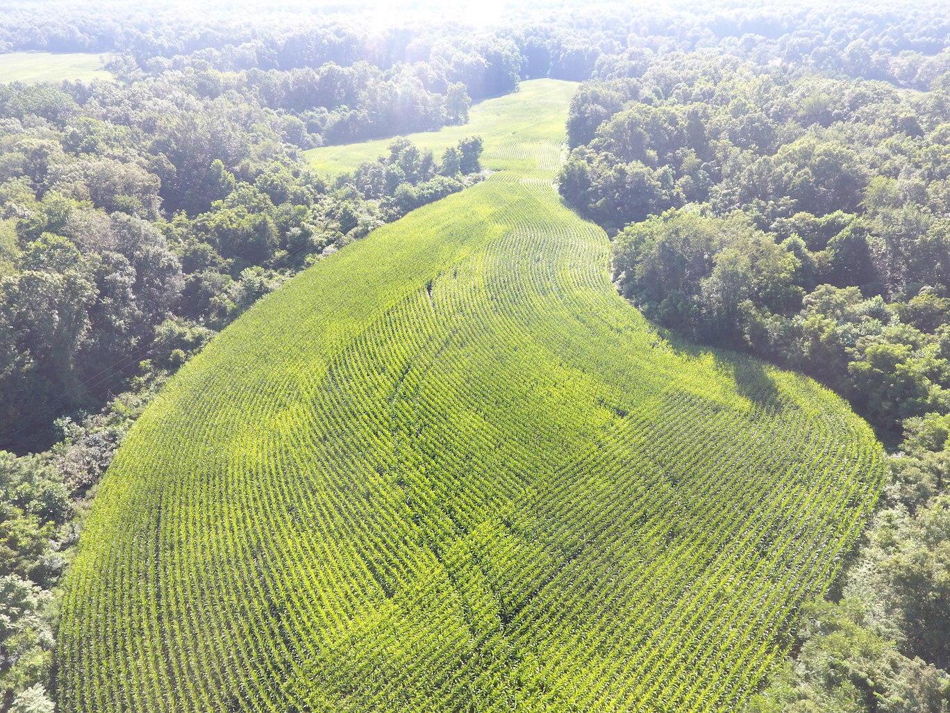 0 Franklin Valley Road Jackson, OH 45640 - Photo 10 of 46