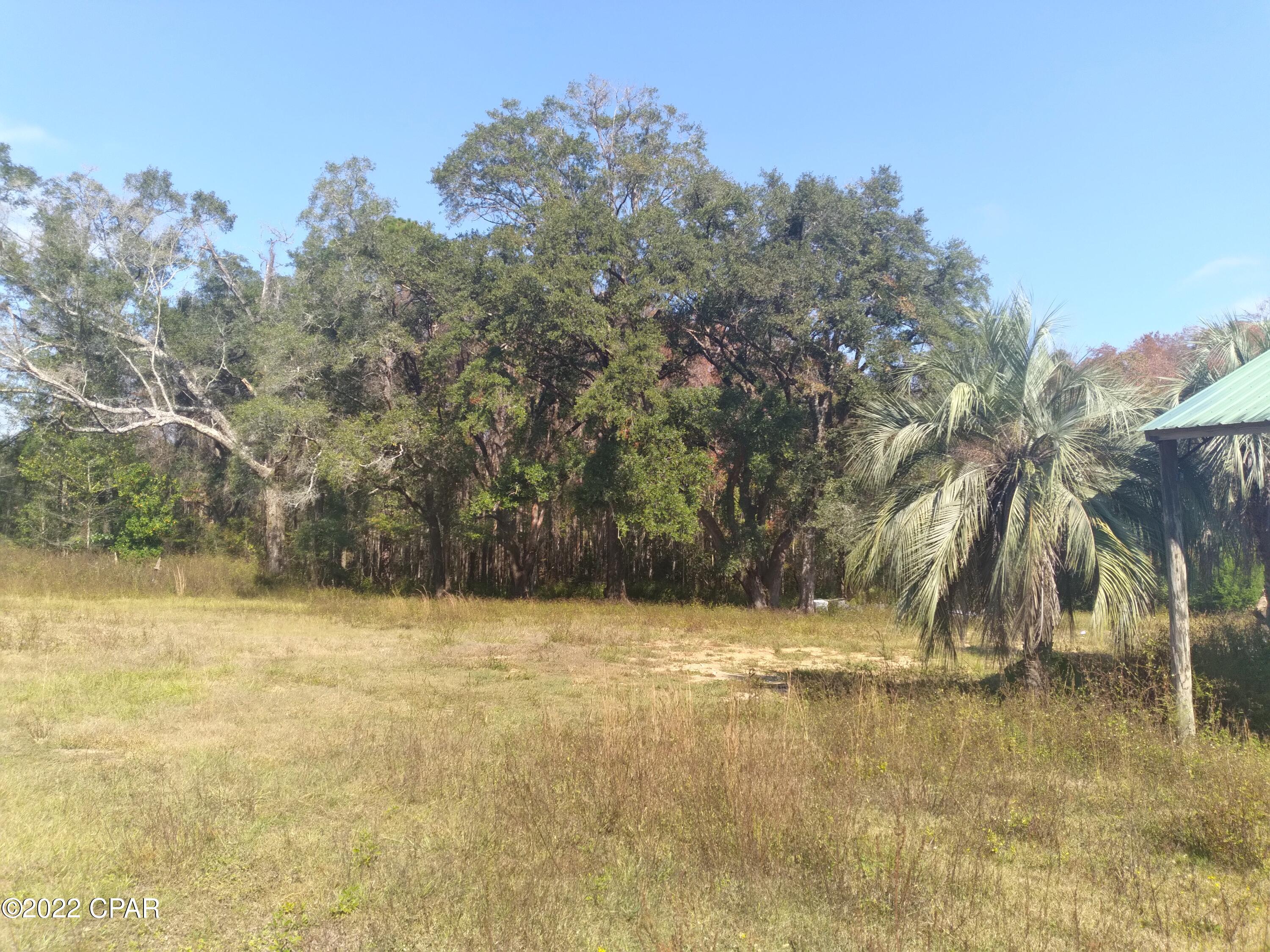 4522 Douglas Ferry Road Caryville, FL 32427 - Photo 17 of 19 Gallery Image 17