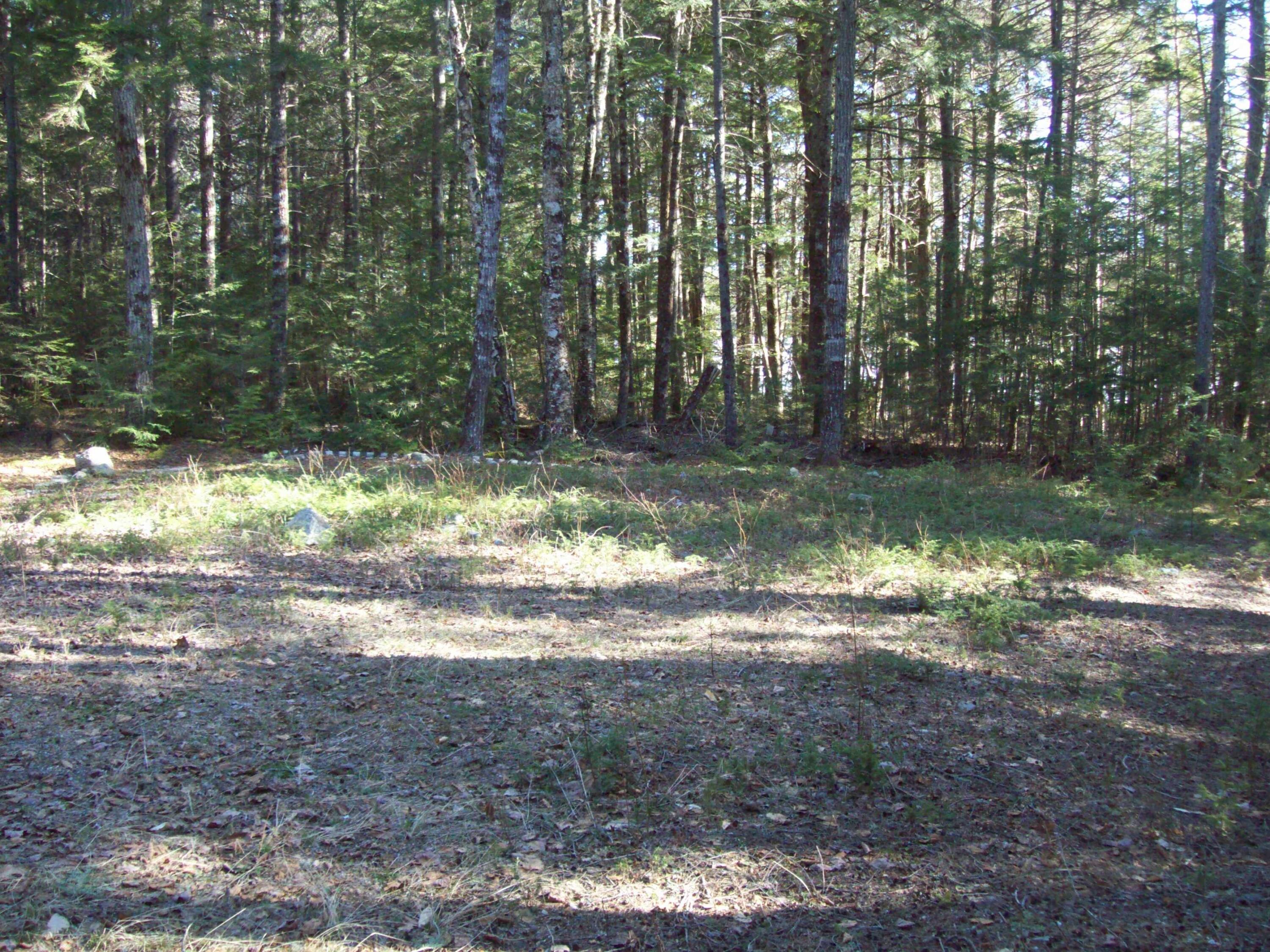 46 Pickerel Point Road Lakeville, ME 04487 - Photo 20 of 25 100_2663