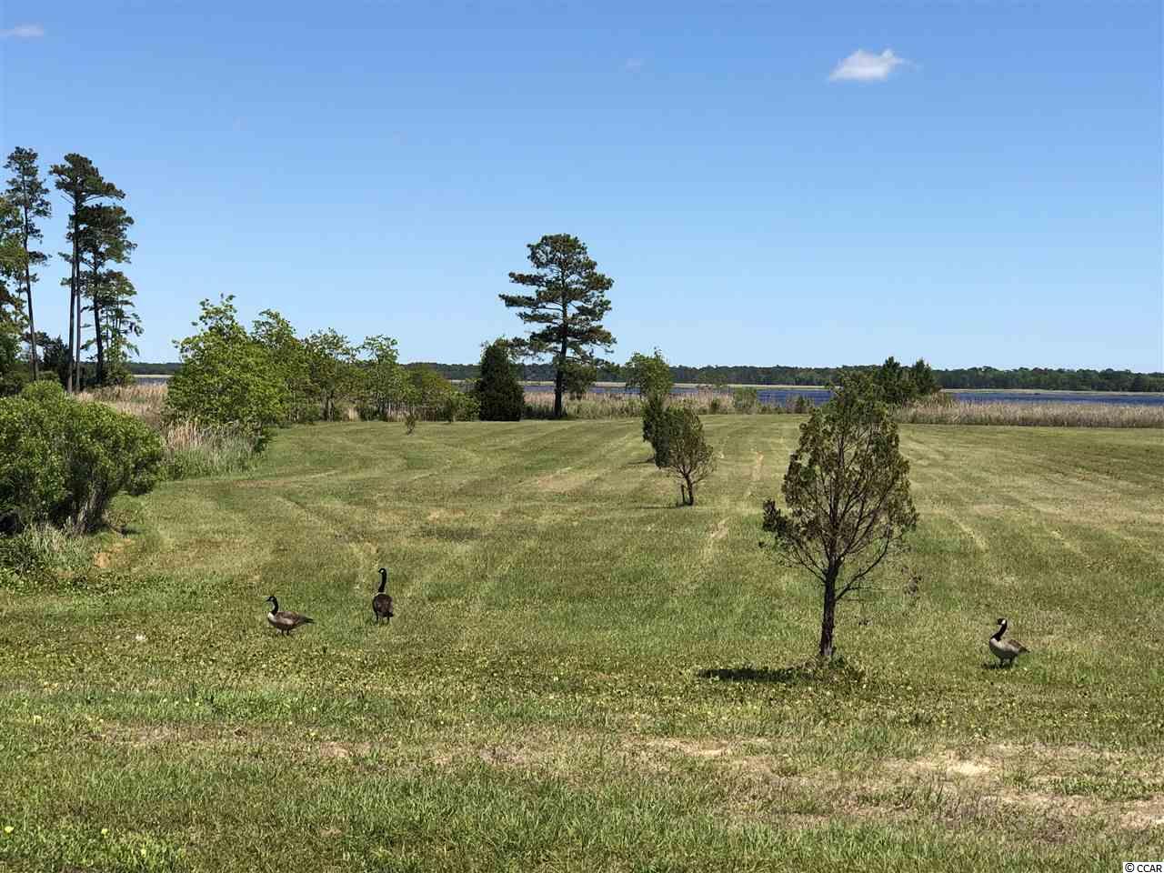 Lot # South Bay Street Georgetown, SC 29440 - Photo 10 of 15 Gallery Image 10
