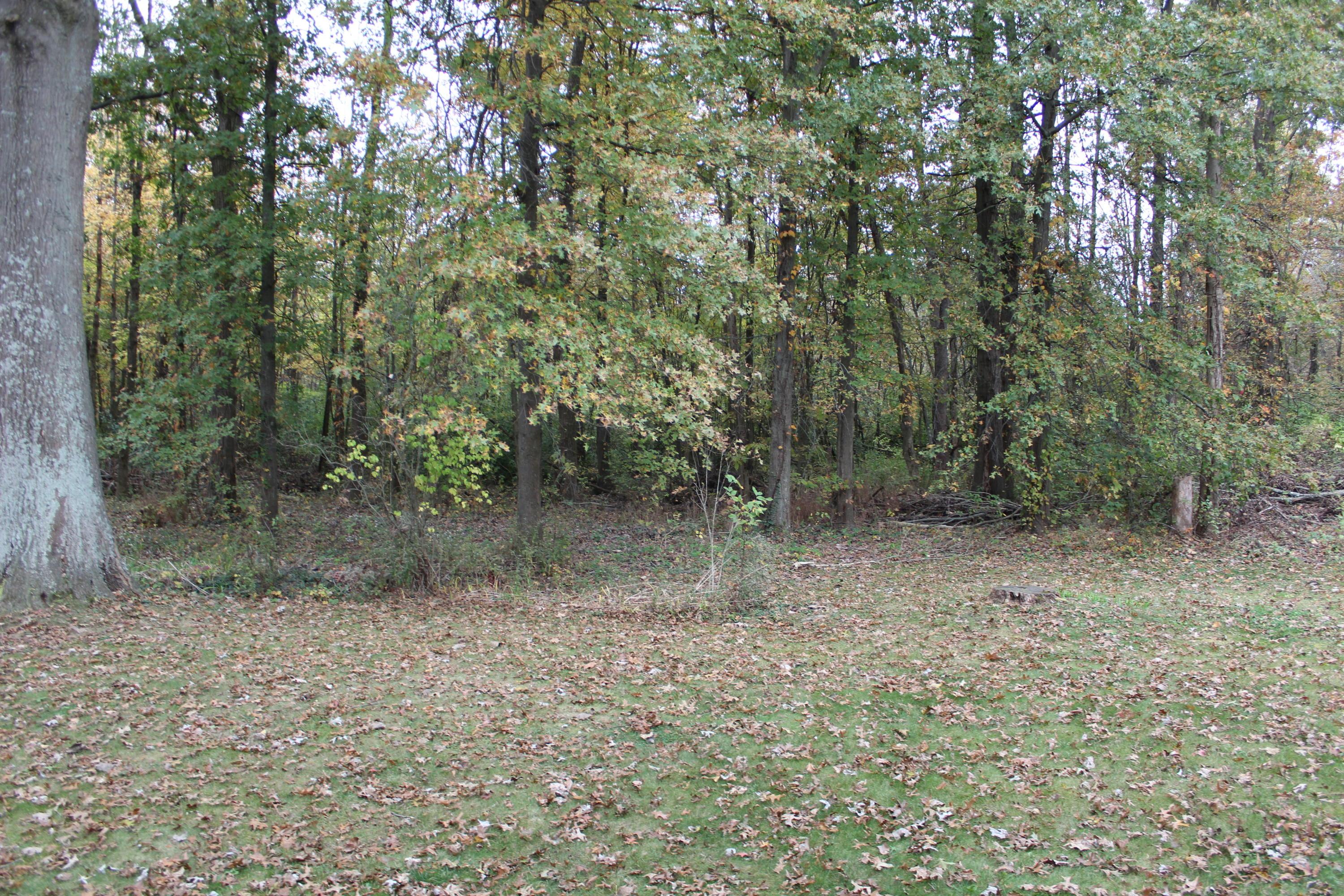 147 Roga Road Etna, OH 43068 - Photo 8 of 29 Gallery Image 8