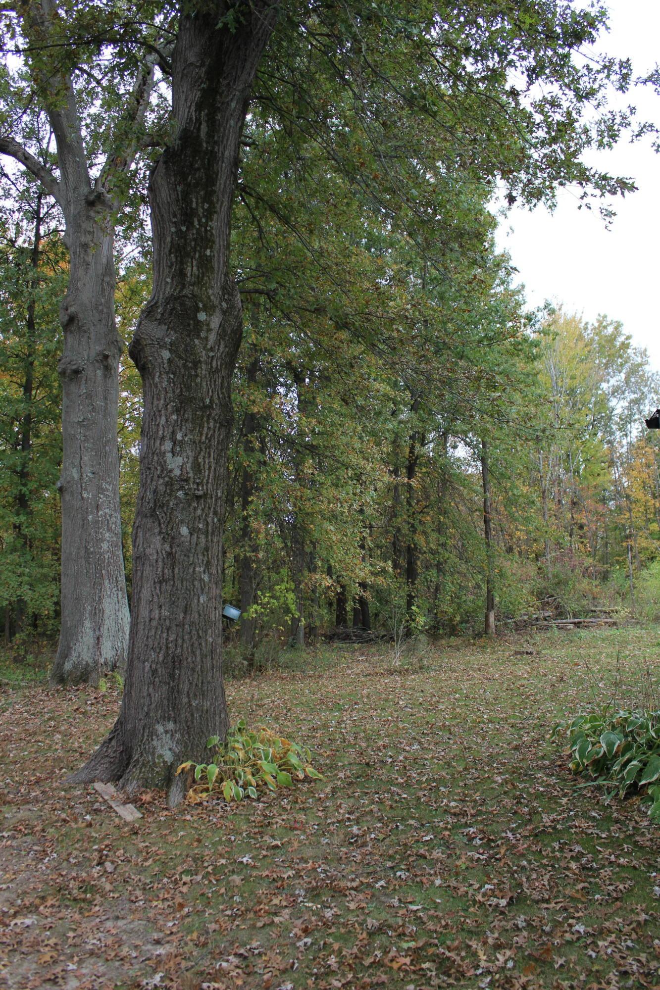 147 Roga Road Etna, OH 43068 - Photo 9 of 29 Gallery Image 9