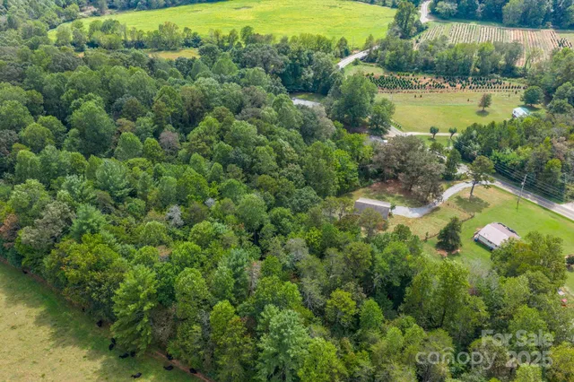 a view of a lush green hillside and houses