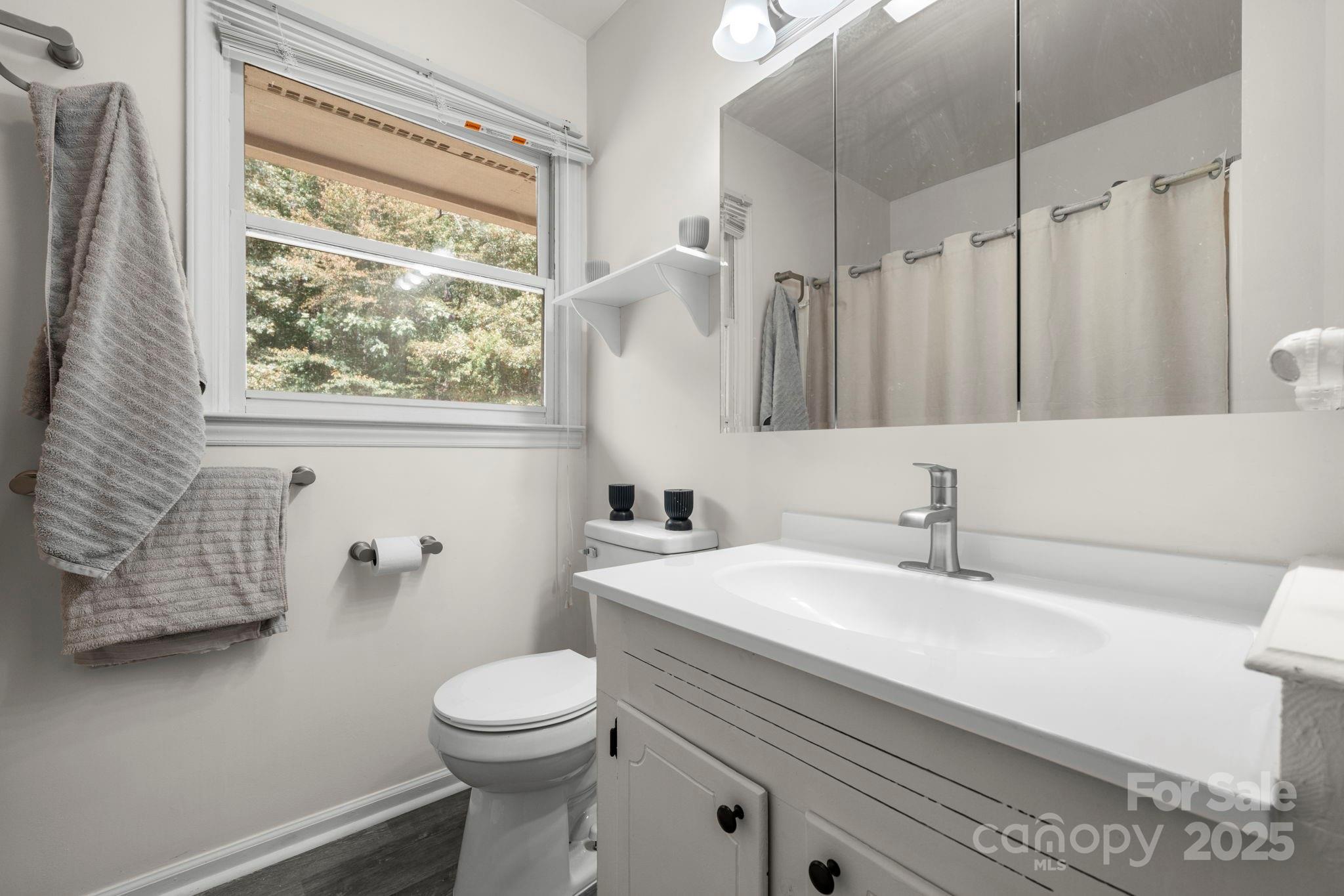 4815 Mt Olive Church Road Morganton, NC 28655 - Photo 21 of 27 a bathroom with a sink a toilet and a mirror