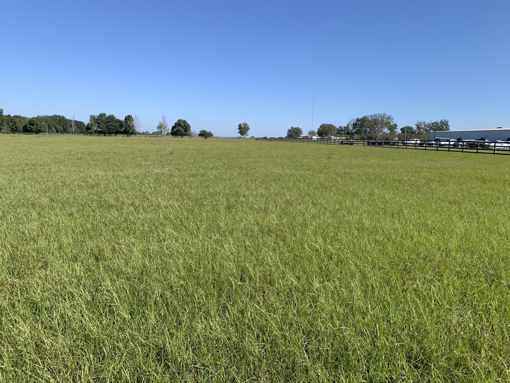 23625 Flowers Road Robertsdale, AL 36567 - Photo 3 of 3 Yard