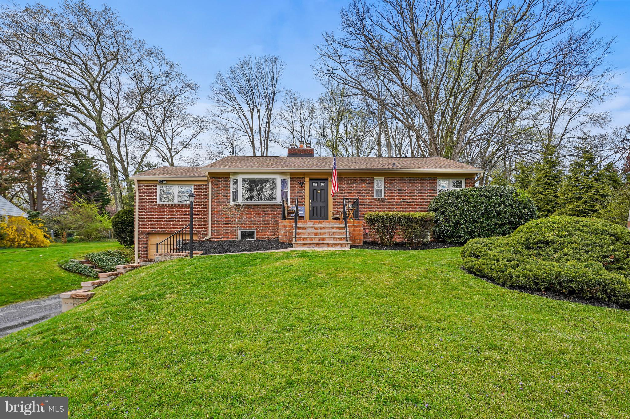 Welcome to Shady Circle