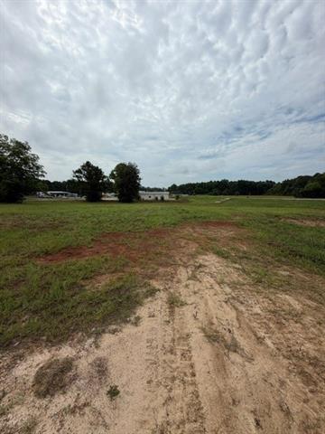 210 Fisher Road Many, LA 71449 - Photo 8 of 13