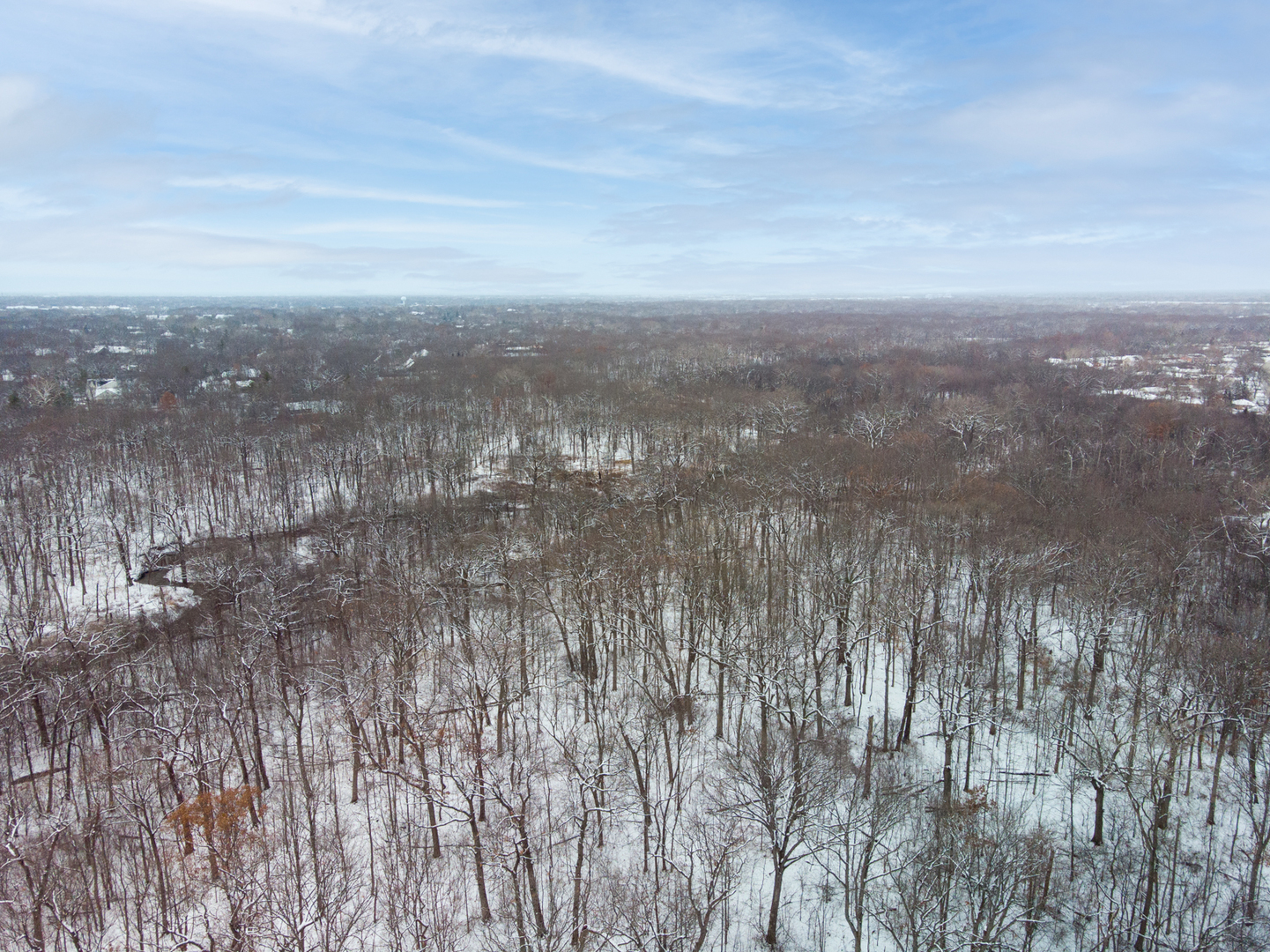 1401 Sunset Ridge Road Northbrook, IL 60062 - Photo 25 of 27 a view of a city of mountains in a cloudy sky