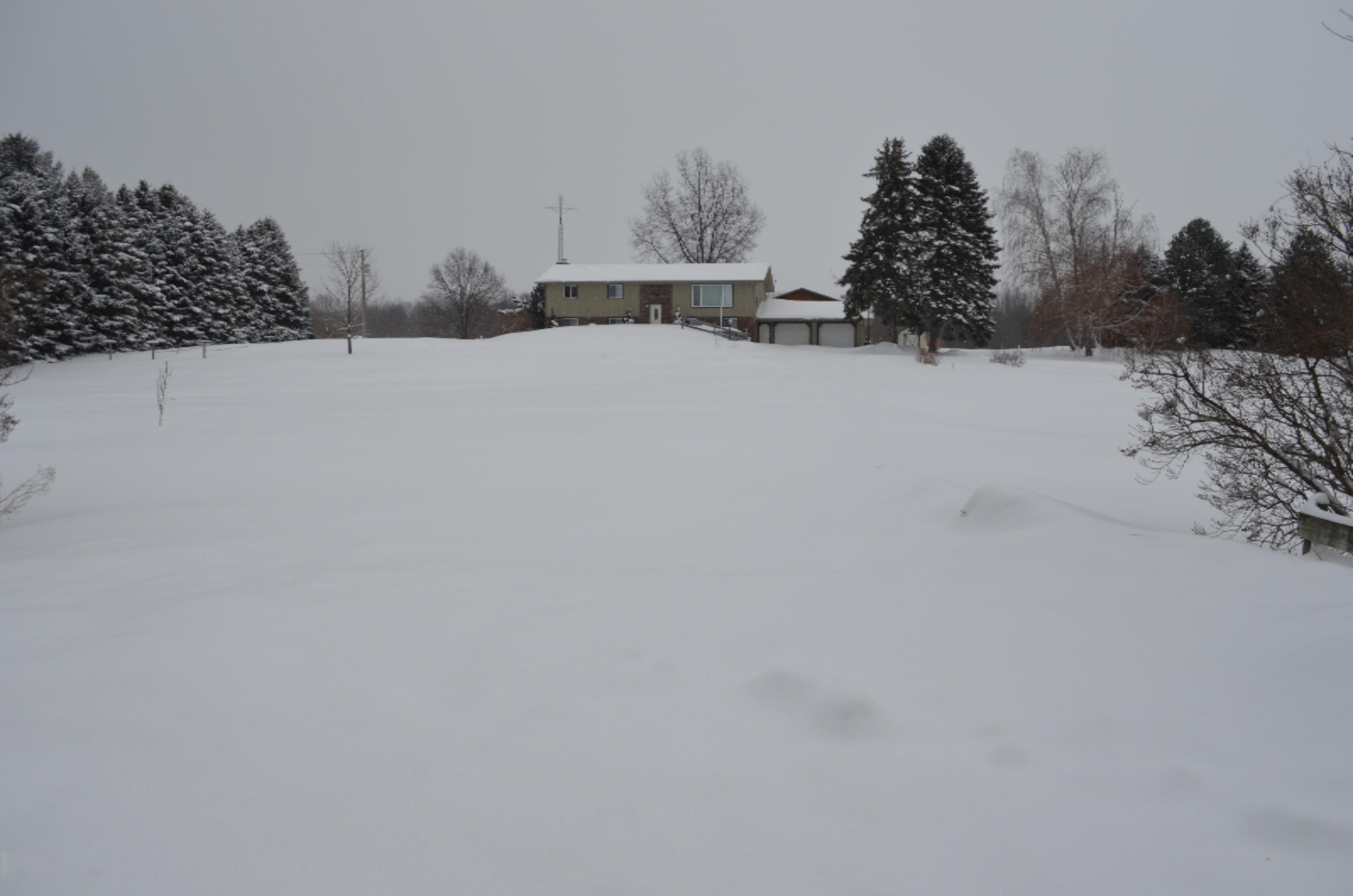 2693 Park Road Coloma, MI 49038 - Photo 2 of 27 2693 N Park Rd, Coloma, MI Front Yard