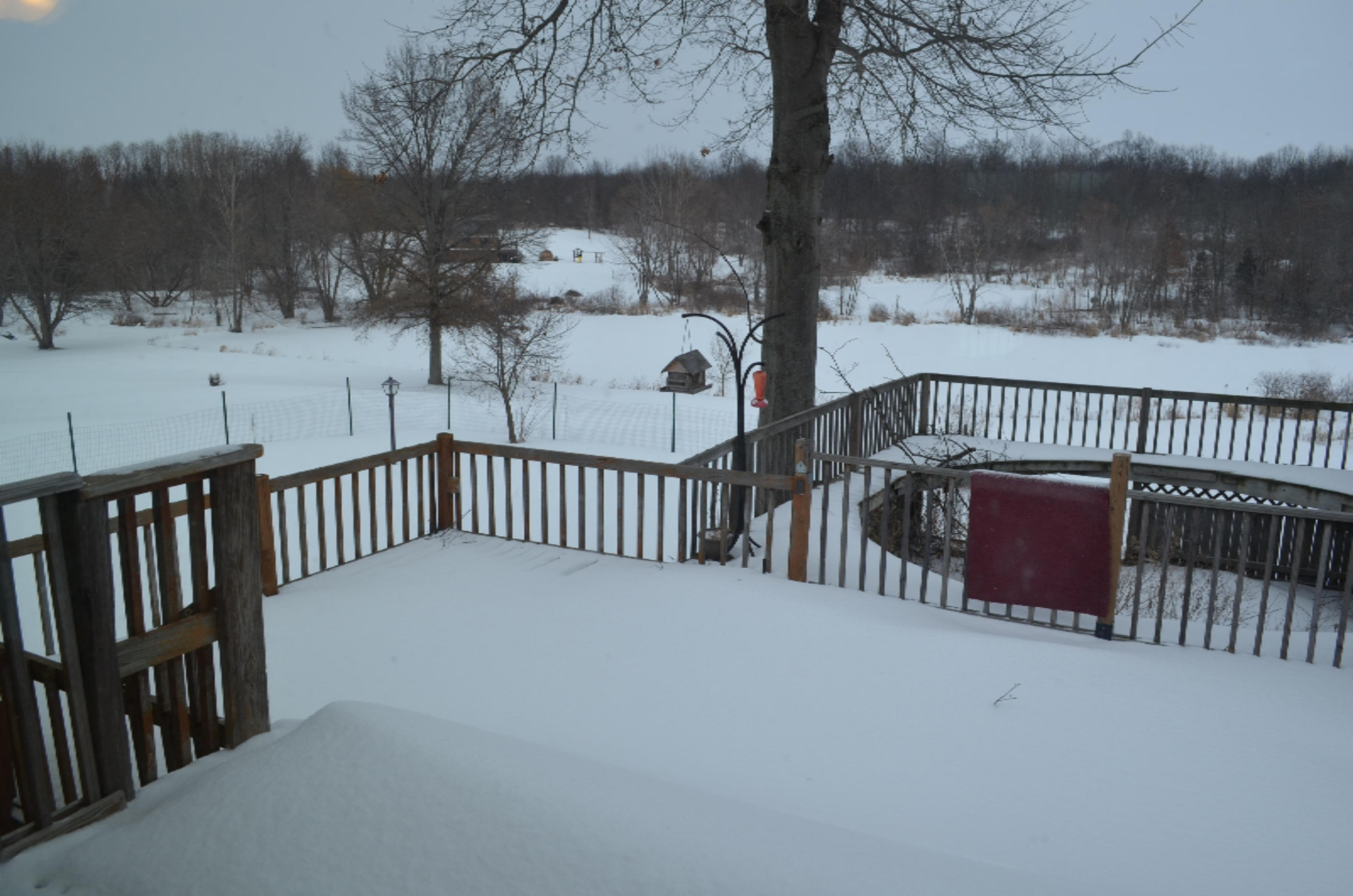 2693 Park Road Coloma, MI 49038 - Photo 8 of 27 2693 N Park Rd, Coloma Back Deck/Porch 2