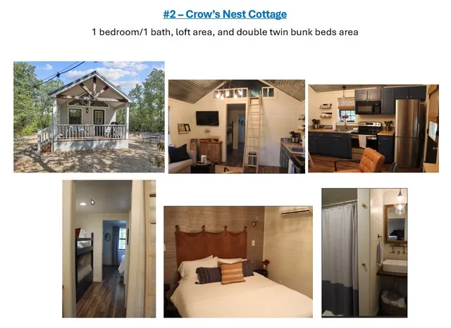 a view of a yard with plants and a trees