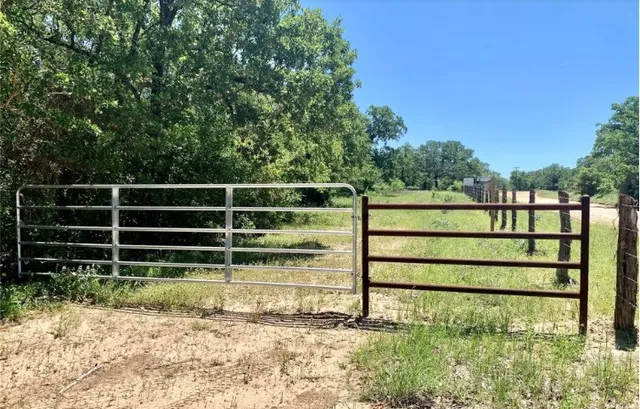 a house with trees in front of it