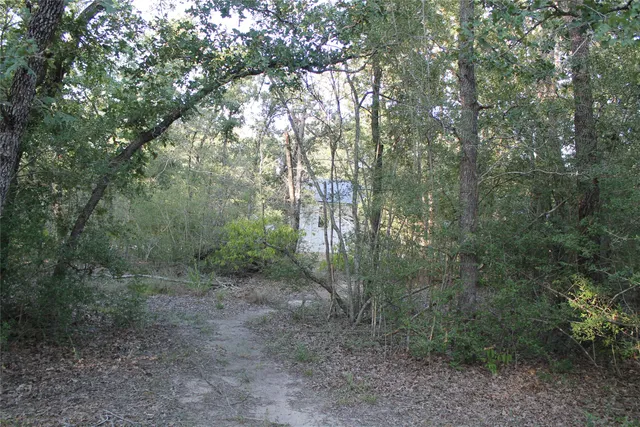 a view of lake with green space