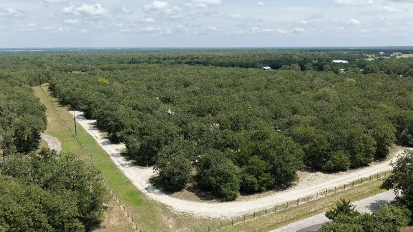 a view of a green yard with large trees
