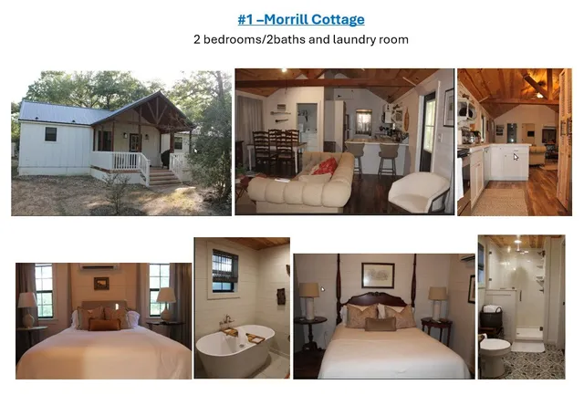 a view of a yard with plants and trees