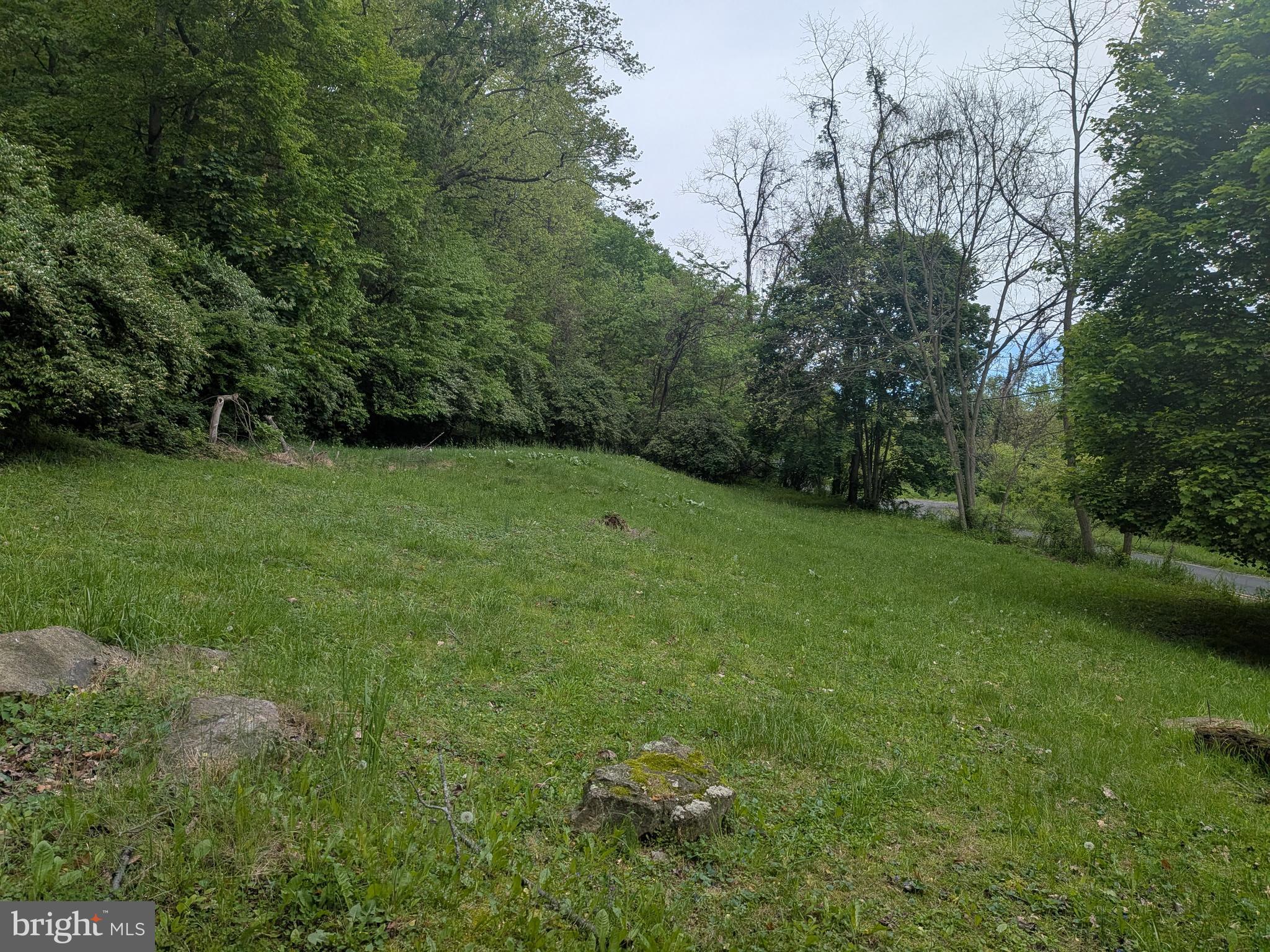 2418 Muddy Run Road Mifflintown, PA 17059 - Photo 11 of 37 a view of a grassy field with trees in the background