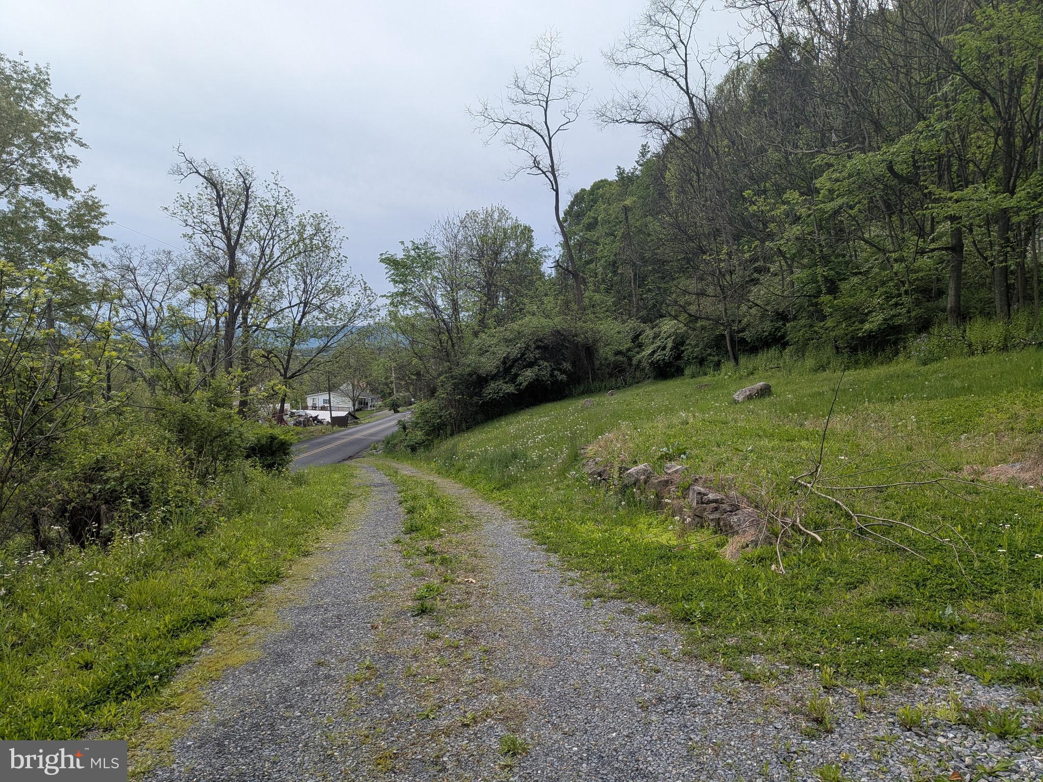 2418 Muddy Run Road Mifflintown, PA 17059 - Photo 13 of 37 a big yard with lots of green space and deers