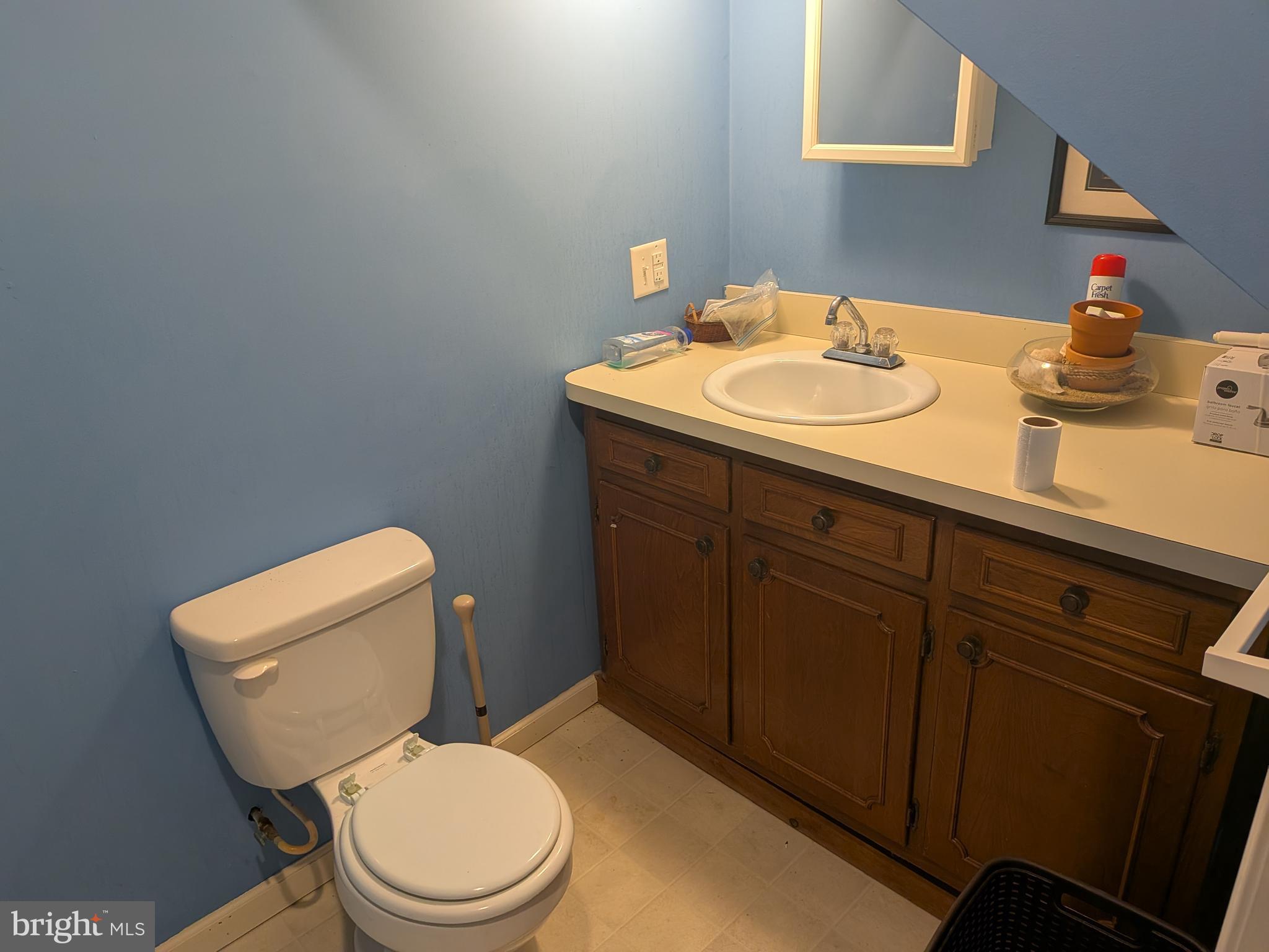 2418 Muddy Run Road Mifflintown, PA 17059 - Photo 29 of 37 a bathroom with a toilet a sink and mirror