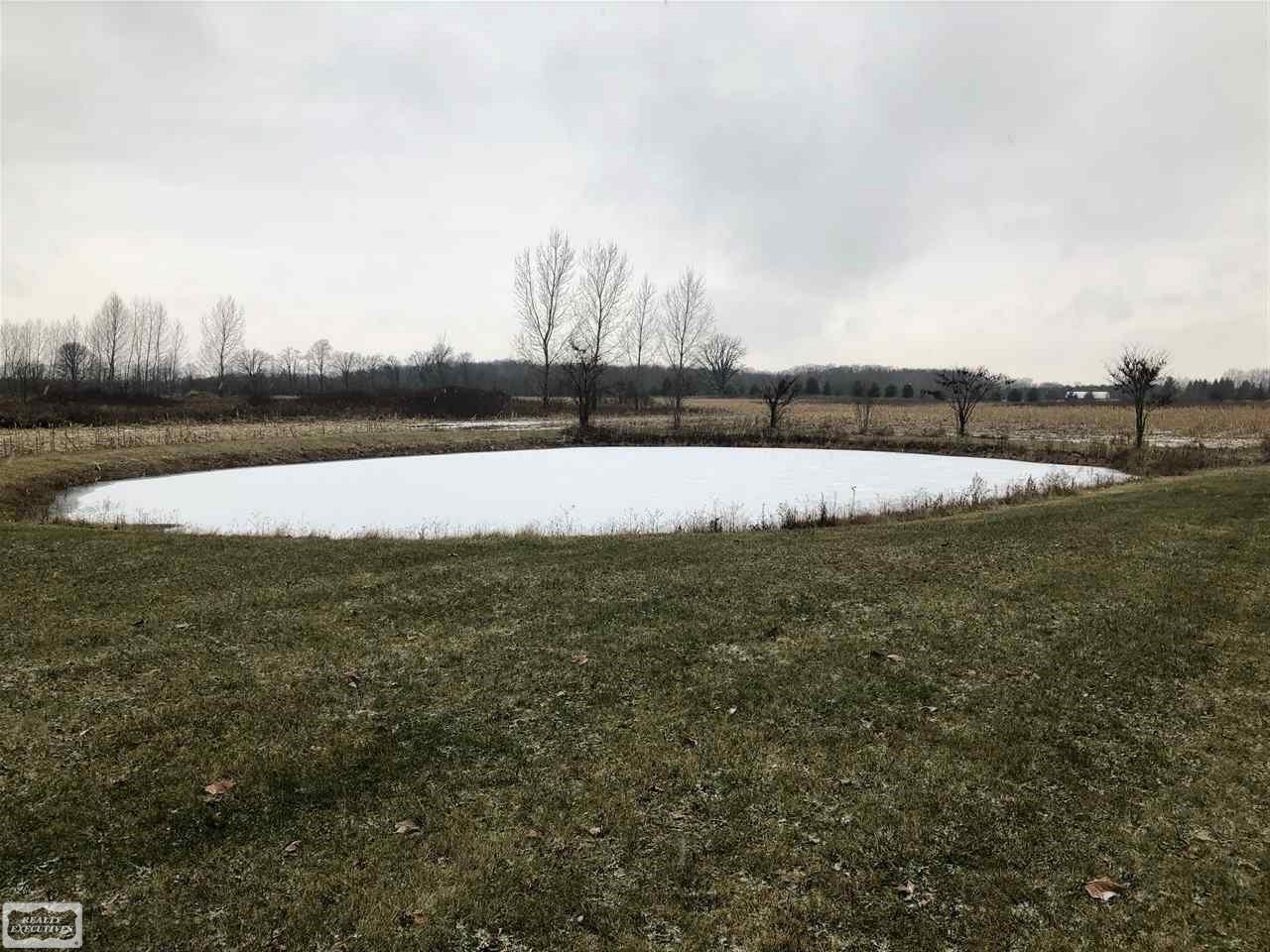 6540 Jeddo Road Jeddo, MI 48032 - Photo 33 of 35 pond with fish