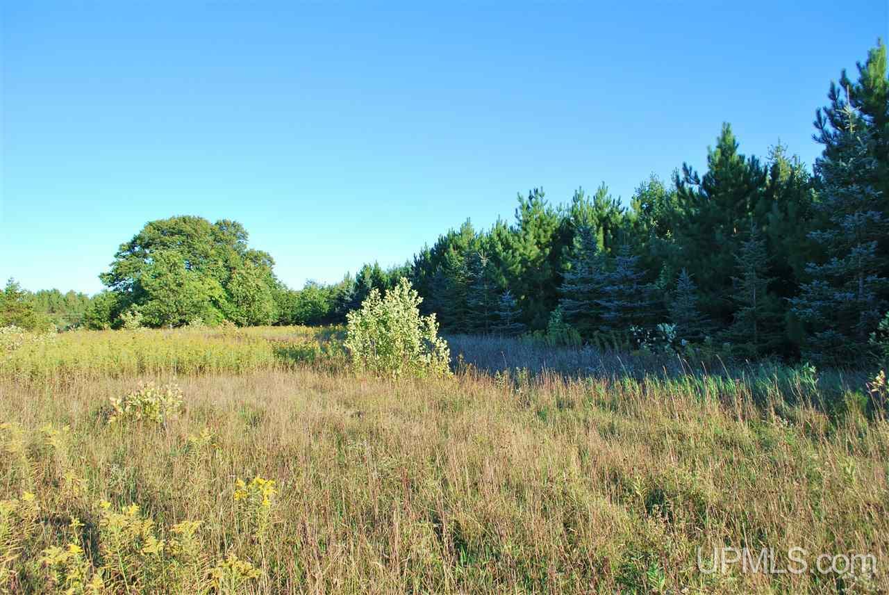 Tbd Golf Course Road Calumet, MI 49913 - Photo 1 of 34