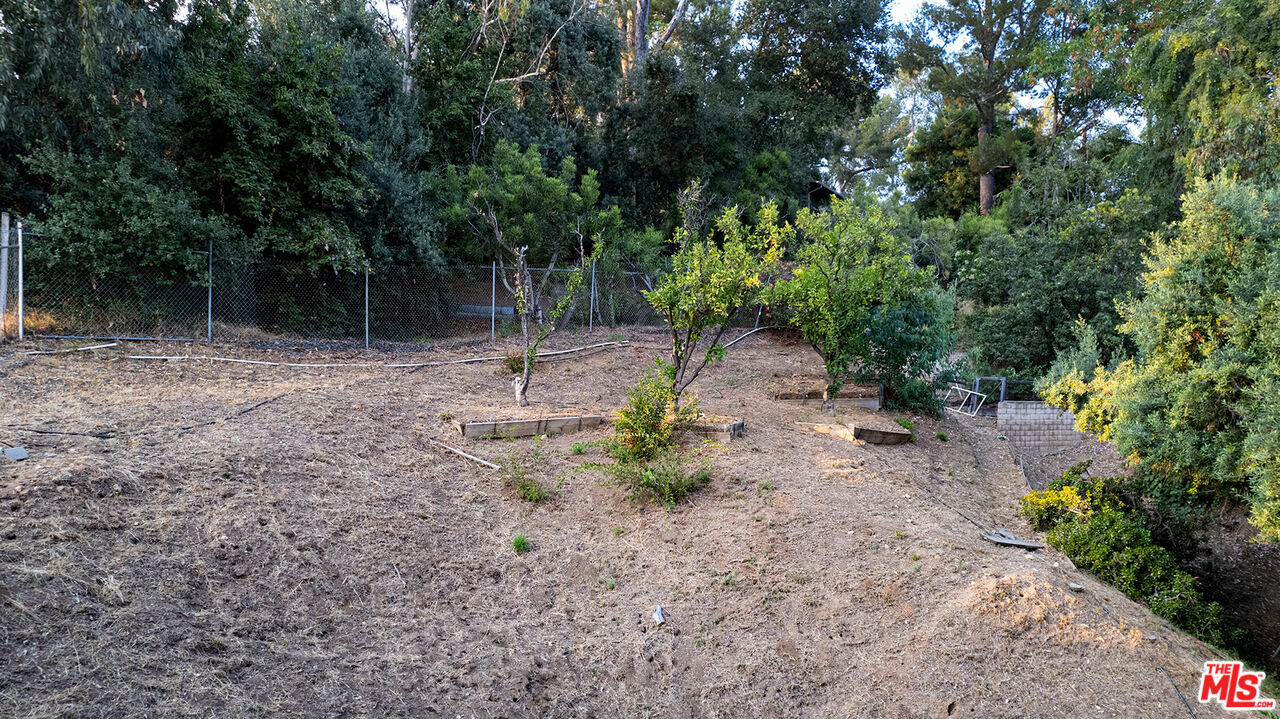 626 Oleander Drive Los Angeles, CA 90042 - Photo 63 of 75 a backyard of a house with large trees and plants