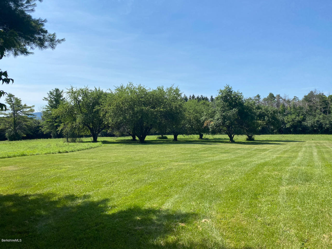 30 Prospect Hill Road Stockbridge, MA 01262 - Photo 18 of 19 a view of a green yard