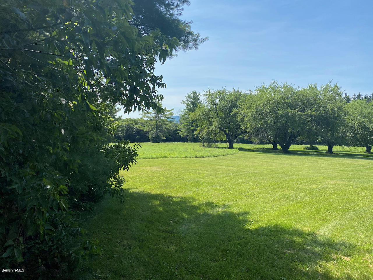 30 Prospect Hill Road Stockbridge, MA 01262 - Photo 19 of 19 a view of a field with trees in the background