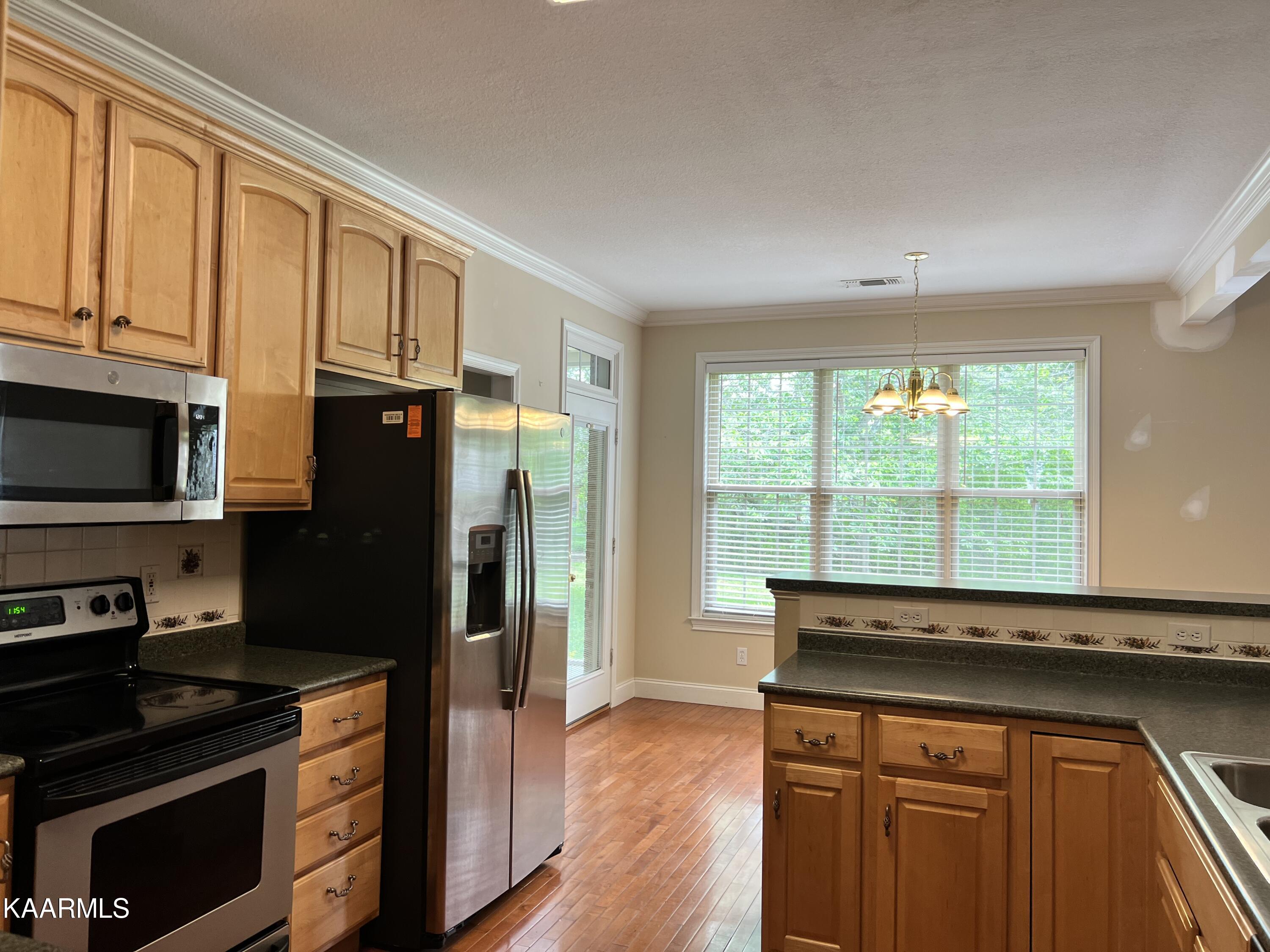 904 Roderick Road Knoxville, TN 37923 - Photo 5 of 25 A29EB3A0-D20B-4E9F-8121-673E422C89B8