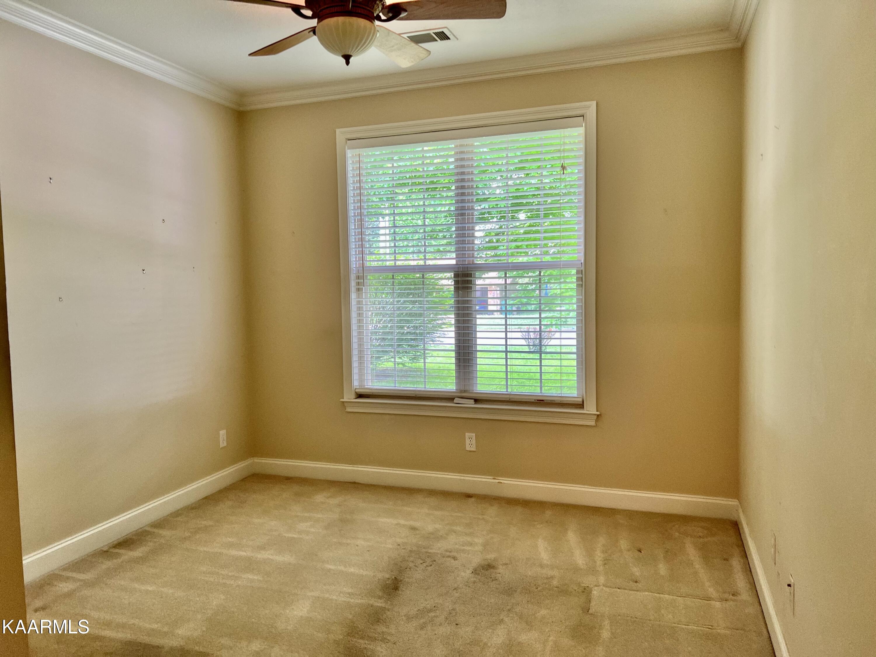 904 Roderick Road Knoxville, TN 37923 - Photo 10 of 25 FED22B73-F5F2-4B92-AEB2-C062592B339F